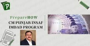 CM PUNJAB INSAF IMDAD PROGRAM