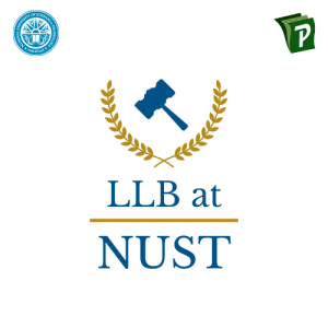 Blue Gold Gavel Attorney Law Logo
