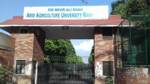 Arid Agriculture University