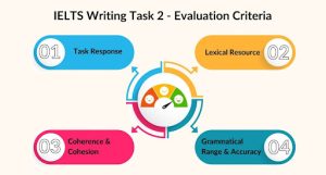 The IELTS Writing task 2 is graded as per the IELTS rubrics which include task response, lexical resource, coherence and cohesion and grammatical range and accuracy.