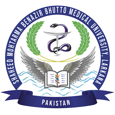 Best Private Medical Colleges in Karachi: Comprehensive Guide for 2024 | PrepareHOW Shaheed Mohtarma Benazir Bhutto Medical College Logo